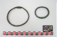 Foto von Bronzering (NHMW-PRAE-024572)